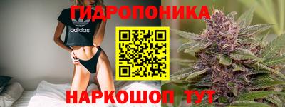 гашиш Шебекино