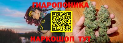 меф Шелехов