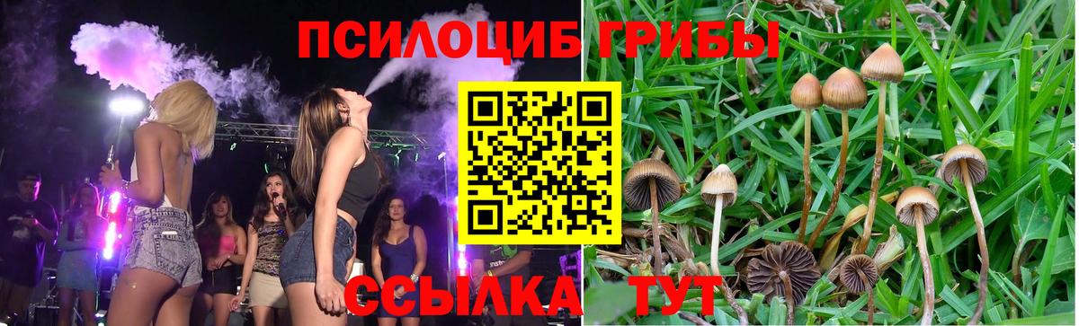 Галлюциногенные грибы Cubensis  Галлюциногенные грибы прущие грибы  Вход с VPN  Азов 